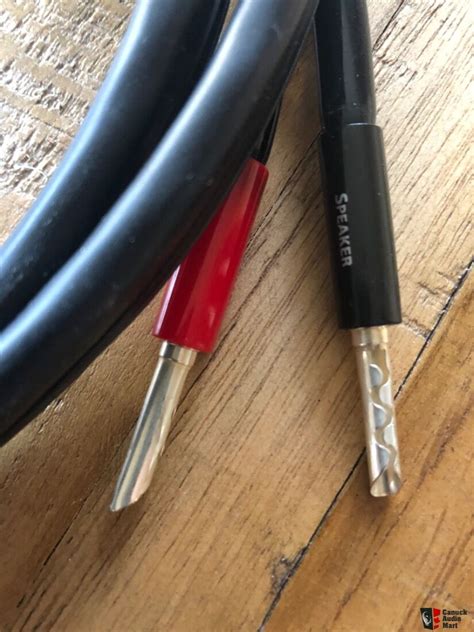 Audioquest Rocket 11 Speaker Cables Photo #2493353 - Canuck Audio Mart