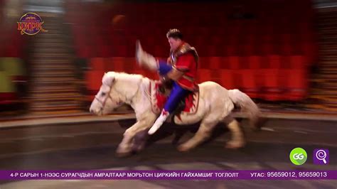 Морьтон циркийн гайхамшиг - YouTube