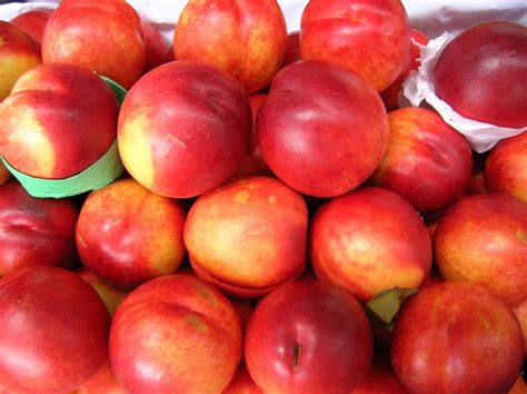 Nektarina 1 kg – Max Trgovine