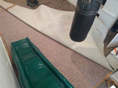 Wet carpet! Tips to prevent mold and save money - My Silly Squirts