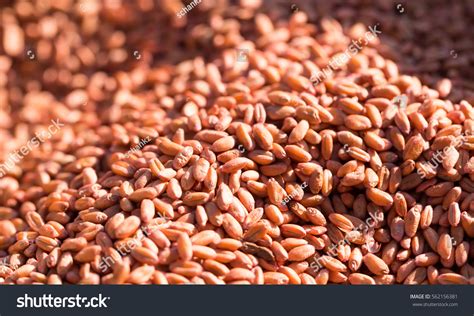 1,247 Hard Red Wheat Images, Stock Photos & Vectors | Shutterstock