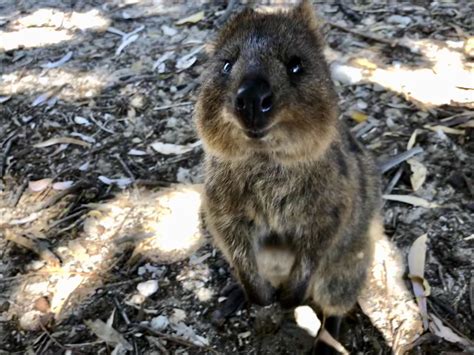 Keera Jaide (u/Beautiful_Jacket_506) - Reddit