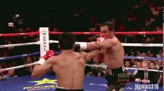 Manny Pacquiao GIF - Find & Share on GIPHY