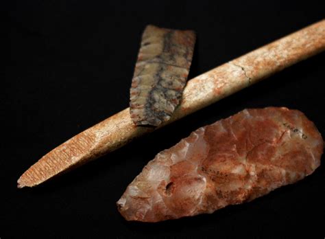 Homo sapiens Created Earliest Modern Artifacts in Europe | RealClearScience