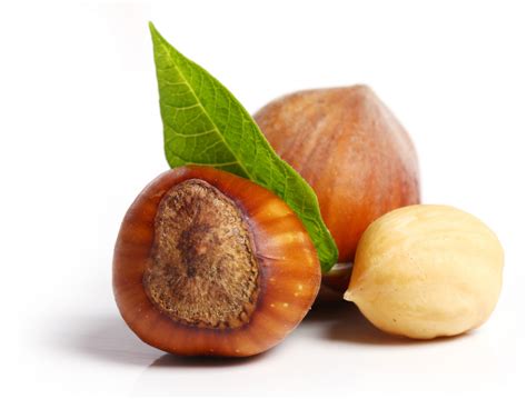 Hazelnut Flavor Allergy at William Moser blog