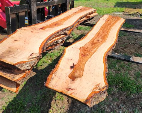 edge tree slabs  edge dining table slabs urban oak