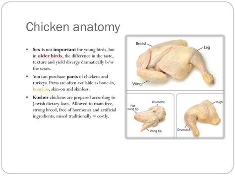 PPT - Poultry PowerPoint Presentation, free download - ID:1883168