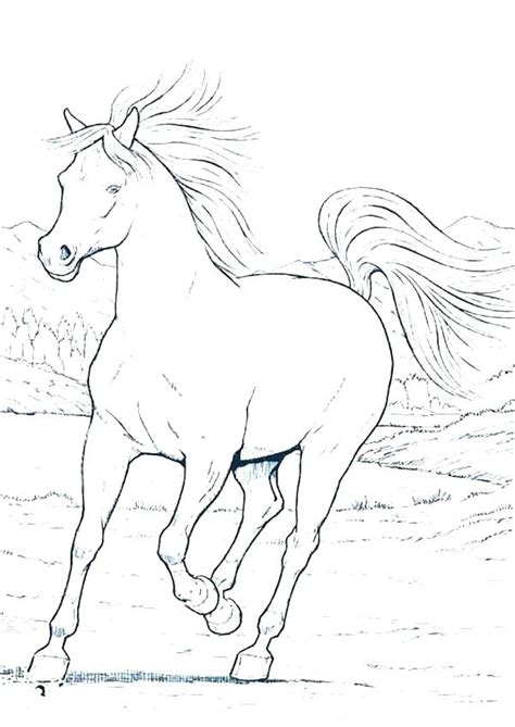 Pinto Horse Coloring Pages at GetDrawings | Free download