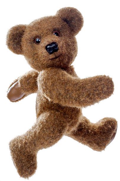 teddy bear walking stock  pictures royalty  images istock