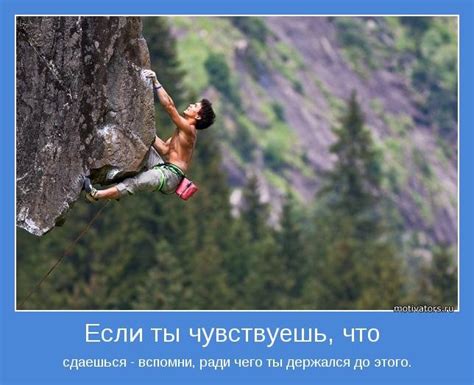 Новые мотиваторы (18 шт)