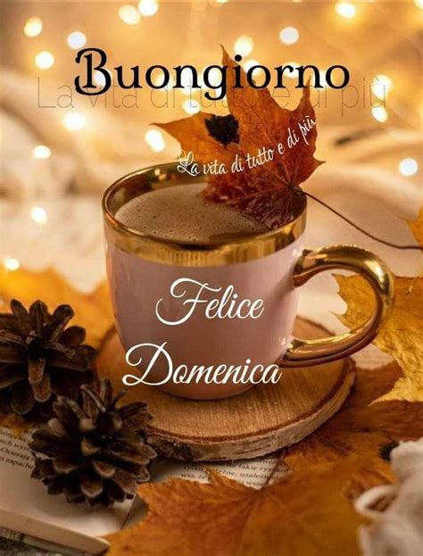 Pin di Federica su BUONA DOMENICA | Buongiorno, Buongiorno bellissimo ...