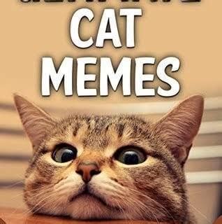 Daily Cat Memes