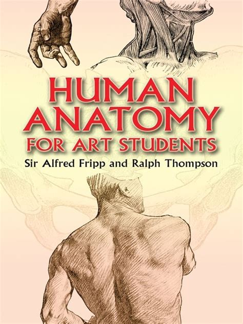 Human Anatomy for Art Students | Student art, Human anatomy, Human ...