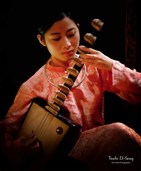 travel photographer vietnams ca tru  google doodle