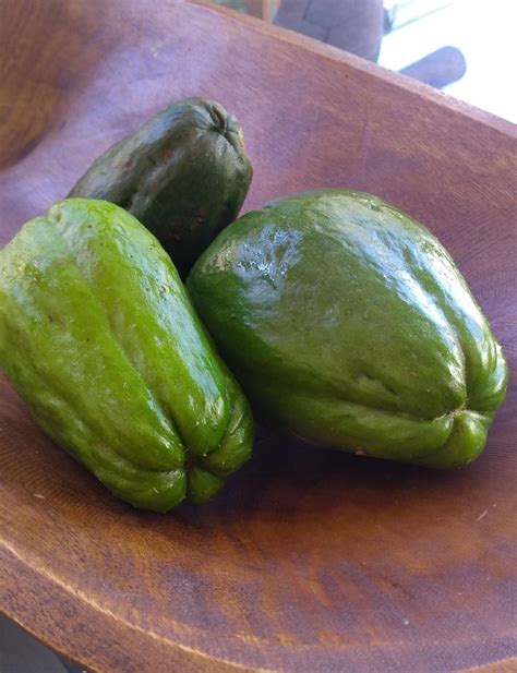 Chuchu -550g Vita Verde - Amigos Orgânicos