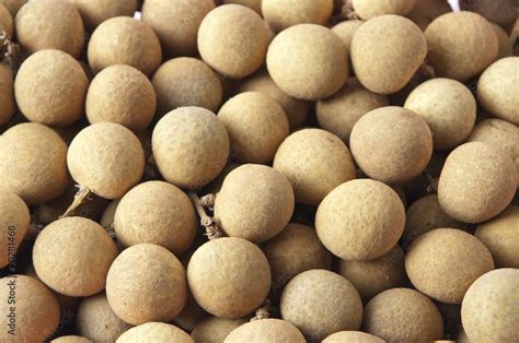 longan Stock Photo | Adobe Stock