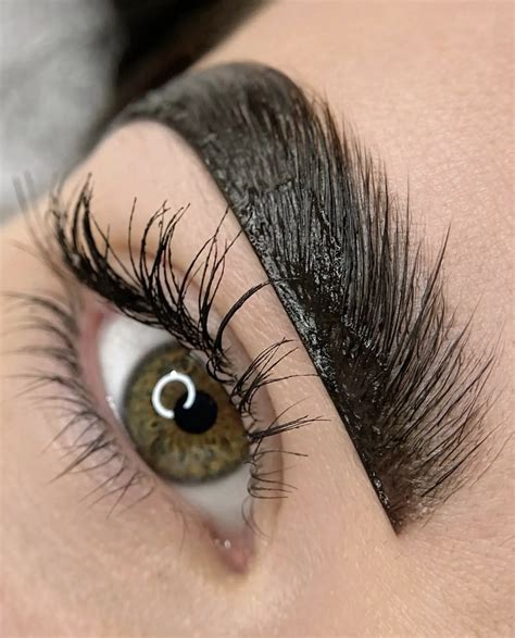 Is Eyebrow Lamination Worth It? Pros, Cons & Cost