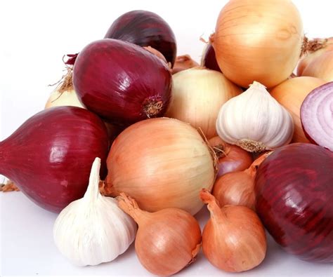 Qual é O Coletivo De Alhos - 9