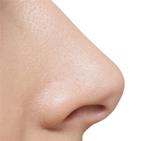 home spokane valley ent spokane valley ear nose  throat