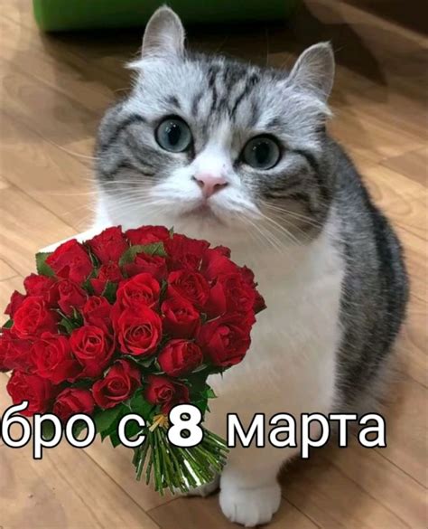 Создать мем "с 8 мартом, с 8 марта котенок, с 8 марта котики ...