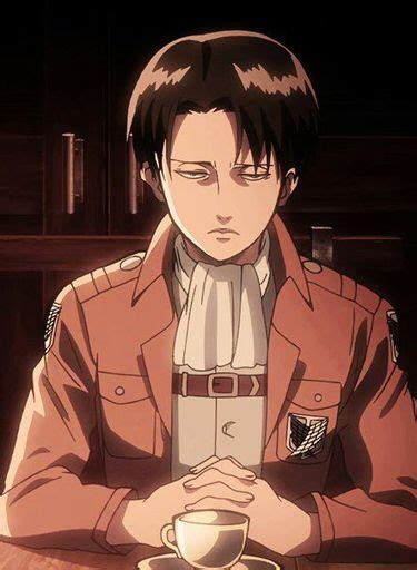 Леви | Wiki | Anime Amino