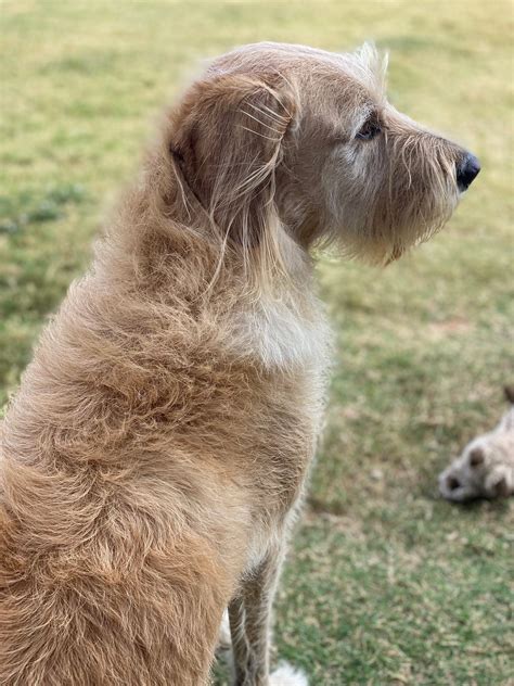 Congratulations! - Melissa Lewis Mathis - Medium