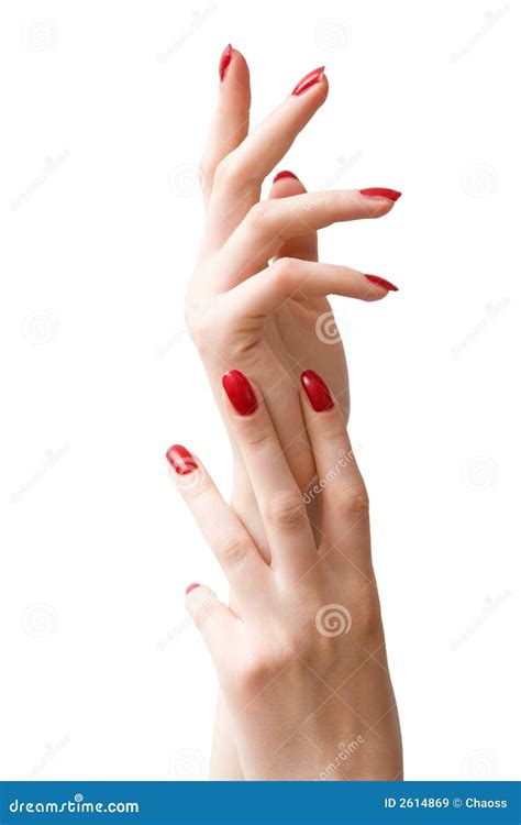 Two woman hands stock image. Image of good, girl, elegance - 2614869