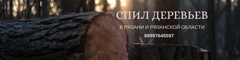 Спил деревьев в Рязани 2024 | ВКонтакте