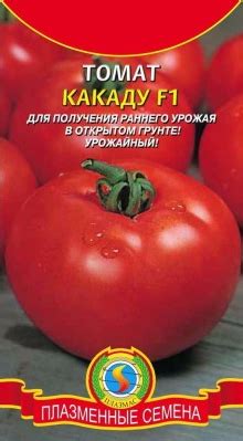Томат Какаду: отзывы, фото, урожайность, описание и характеристика