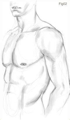 Рисование мужского торса | Sketches, Male sketch, Art