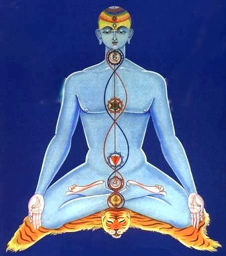 TAO NEWS: Outcome of Meditation