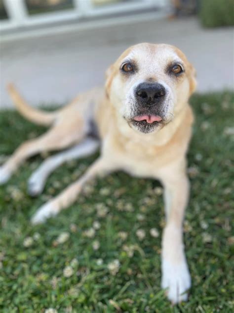 April Telek - April Telek added a new photo.