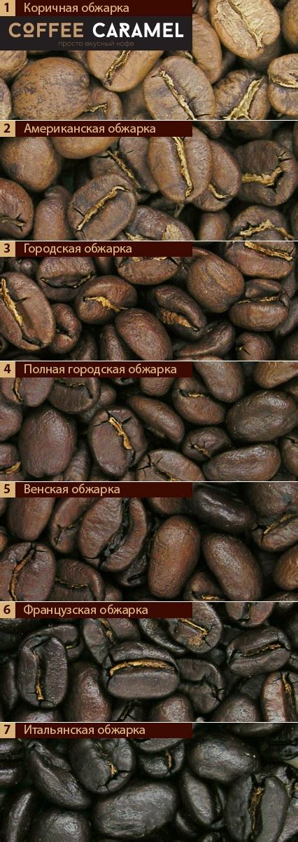 Обжарка кофе: понятие, степени, обжарка кофейных зерен дома
