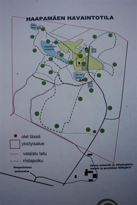 HUVITUS: Metsäretki
