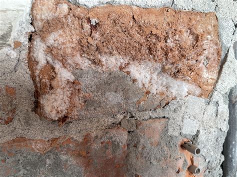 Is this mold? : r/Mold