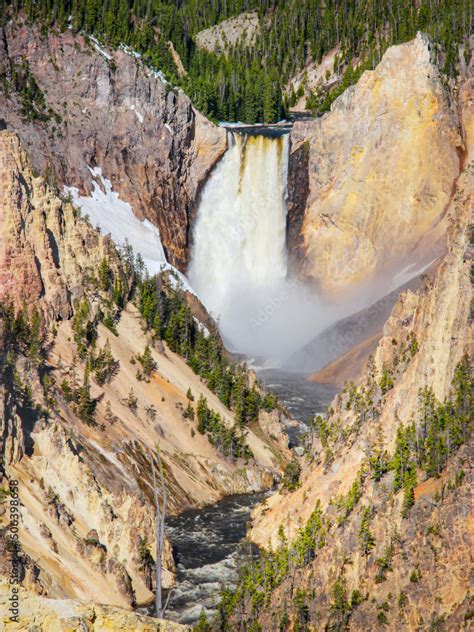 The Grand Canyon of the Yellowstone - View of the Lower Falls Waterfall and the Yellowstone ...