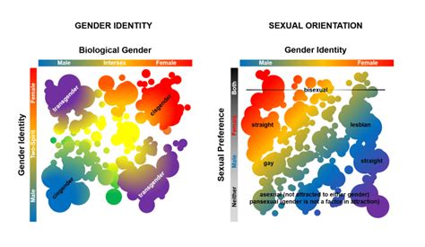 Between the (Gender) Lines: the Science of Transgender Identity ...