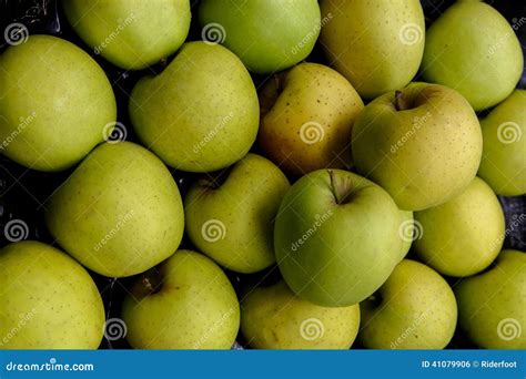 apple group stock photo image  nature group dieting