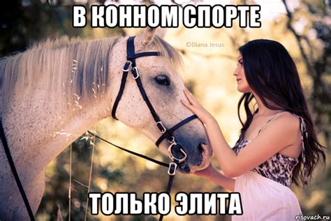 Мемы лошади - Рисовач .Ру