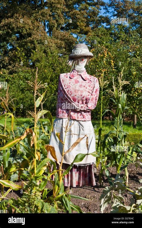 close up of a Lady scarecrow in a vegetable garden, England, UK, GB ...