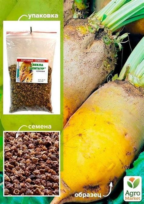 Свекла Кормовая "Центаур" ТМ "Весна" 100г купить почтой в Одессе, Киеве ...