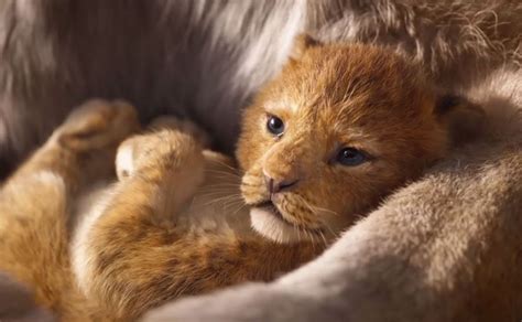 Трейлер: Король Лев (The Lion King) | kinowar.com