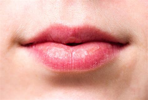 Mouth