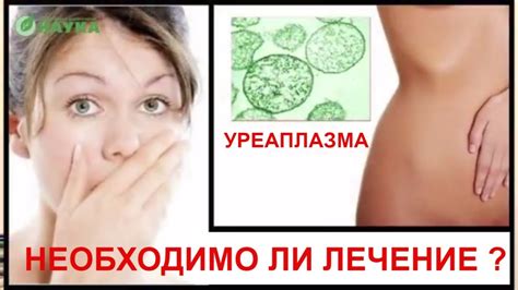 Уреаплазма - Необходимо ли лечение? Отвечает врач акушер - гинеколог ...