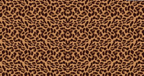 Cheetah Print Wallpaper - Wallpaper Sun