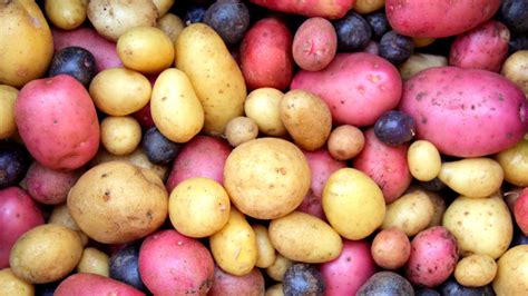 Waxy Potatoes Vs Starchy Potatoes: What's The Difference?