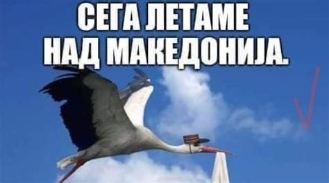 Сега летаме над Македонија – Навалица