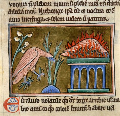 Phoenix | Egyptian, Greek & Roman | Britannica