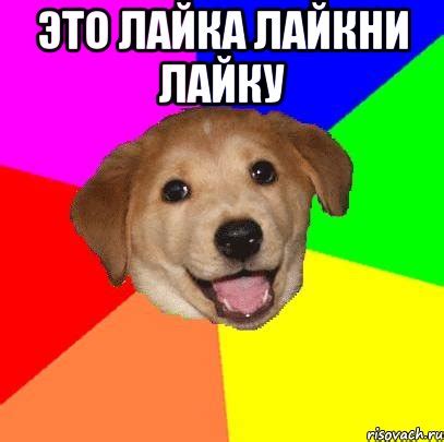 Это лайка лайкни лайку , Мем Advice Dog - Рисовач .Ру