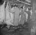Category:Slaughterhouses in the United States - Wikimedia Commons